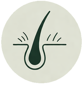 hair-loss-icon